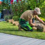 Professional Landscaper Installing New Grass Turfs in the Backyard Garden
